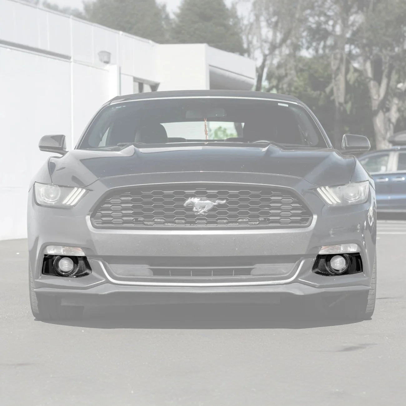 2015-17 Ford Mustang DRY CABON FIBER Front Bumper Fog Light Bezel Cover Pair - Image 2