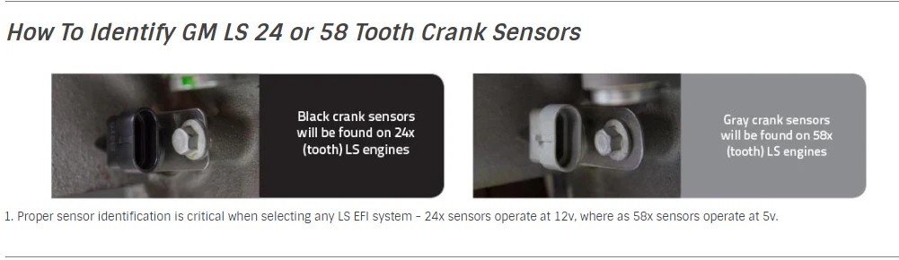 EFI Terminator X - GM LS1/LS6 - 24x Crank - 1x Cam - EV1 Injectors - 3.5 in. Touchscreen - Image 8
