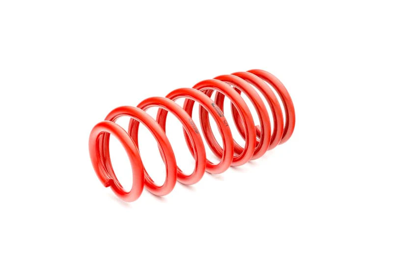 Eibach Sportline Lowering Springs for 2015-2022 Dodge Charger RWD - Image 3