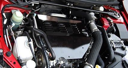 Evo X Black / Red / Painted Engine Cover