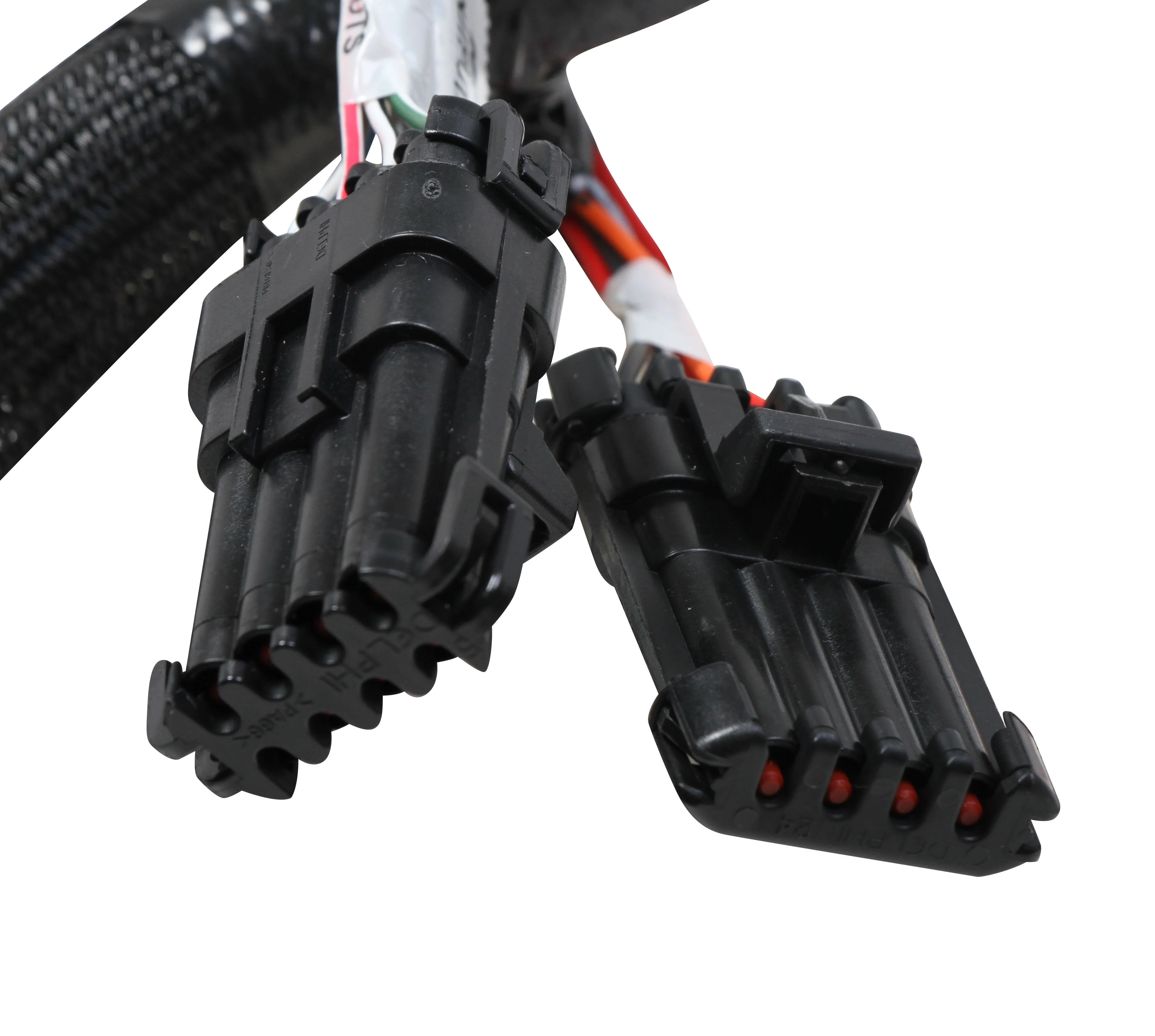 Terminator Stealth 2x4 MAIN HARNESS - Image 3