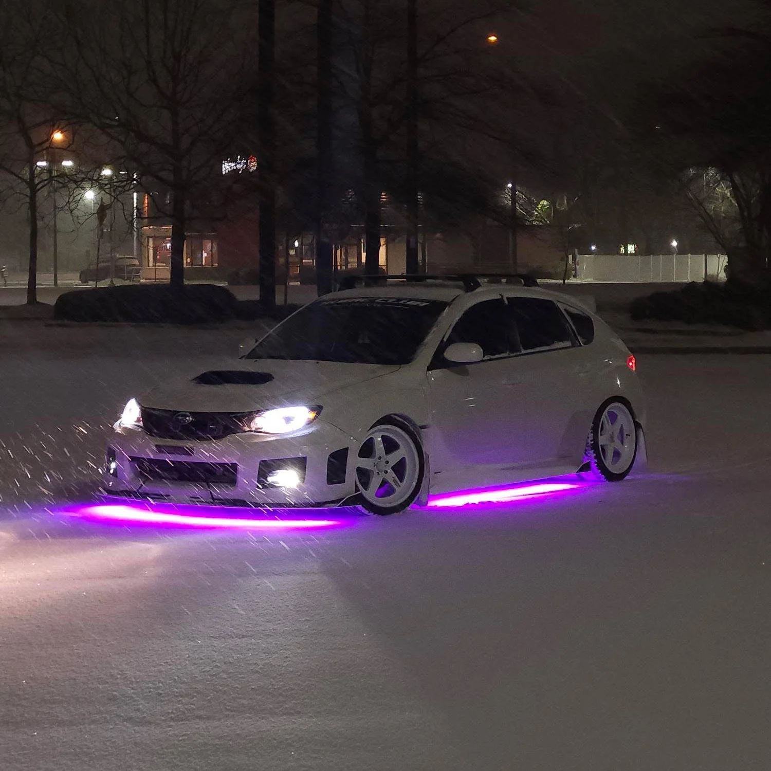 Toad Underglow - Image 4