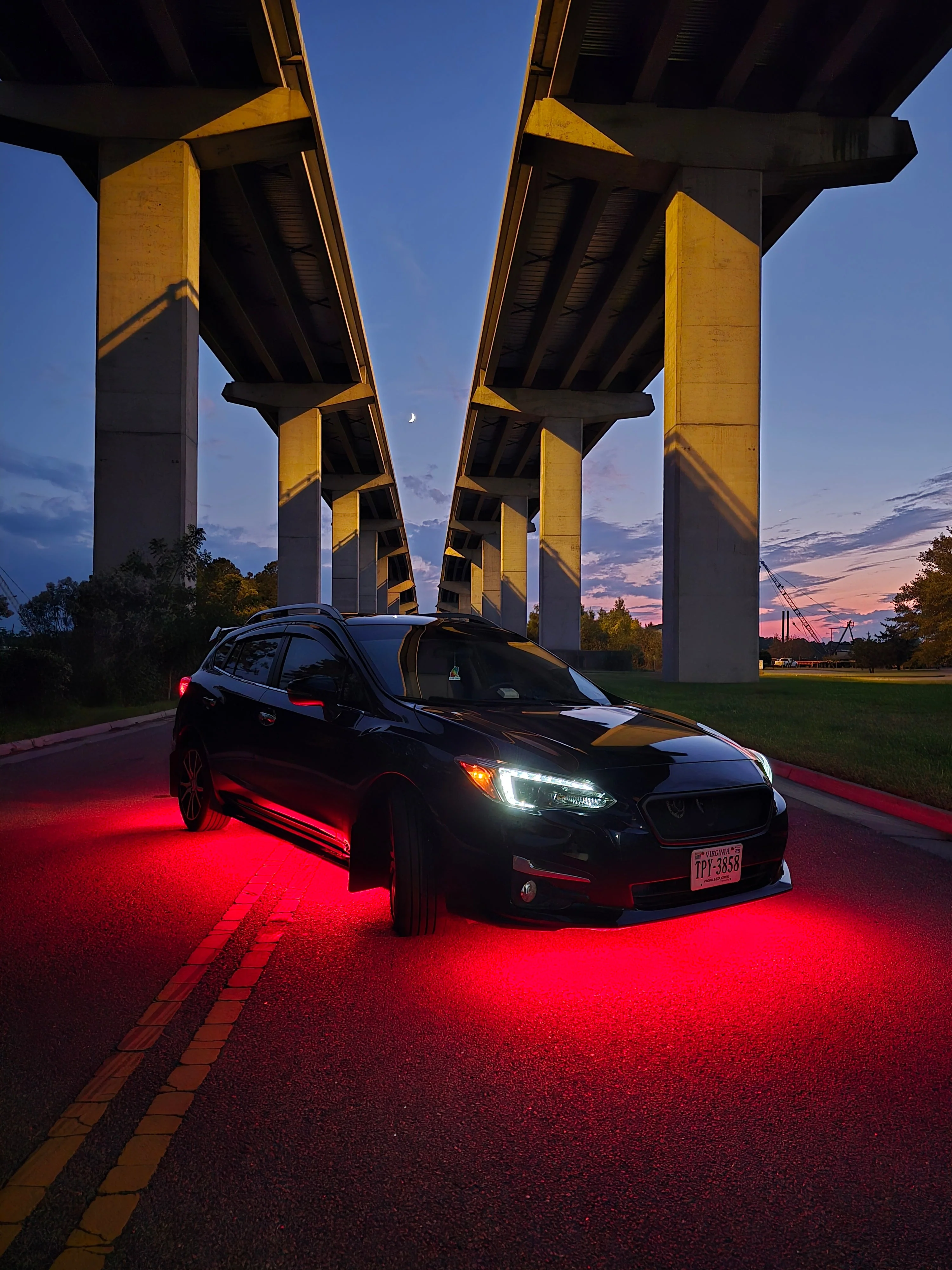 Toad Underglow - Image 5