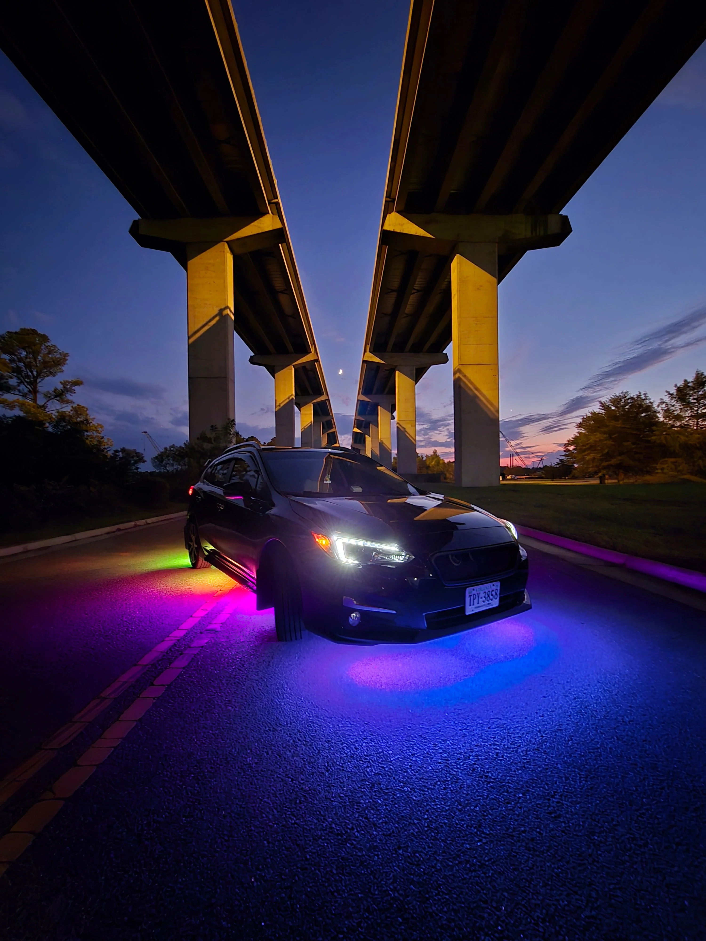Toad Underglow - Image 9